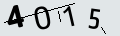 verifycode